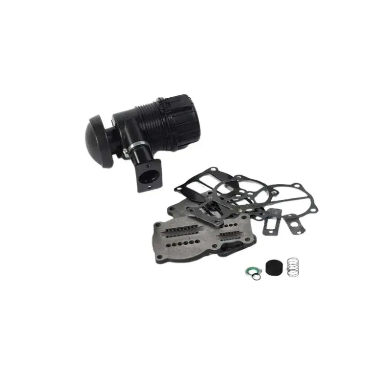 Expédié Aujourd'hui Kit performance pour compresseur ABAC de type B49 8973037624