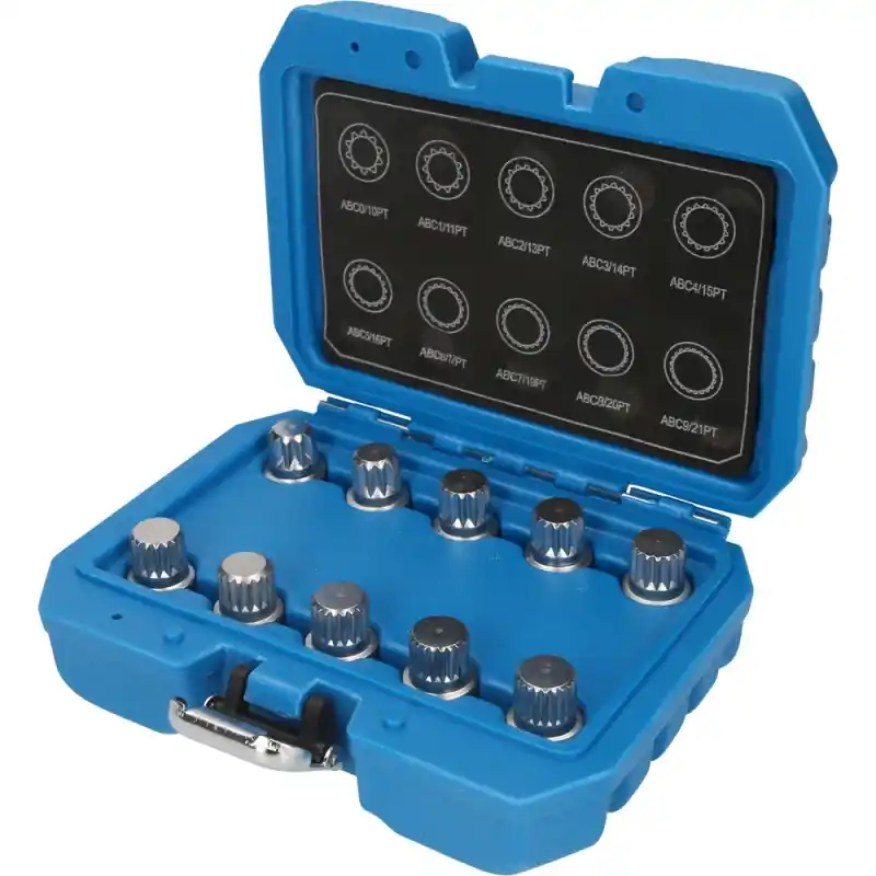 Coffret de démontage d‘écrous antivols VW 10pcs BRILLIANT TOOLS - BT691310 Meilleur Prix