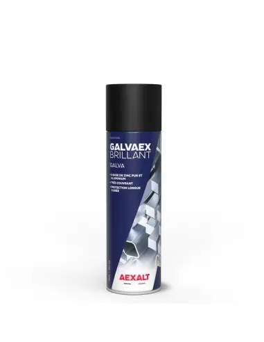 Revêtement galvanisant à froid d’aspect brillant GALVAEX Brillant (650 ml) Authentique
