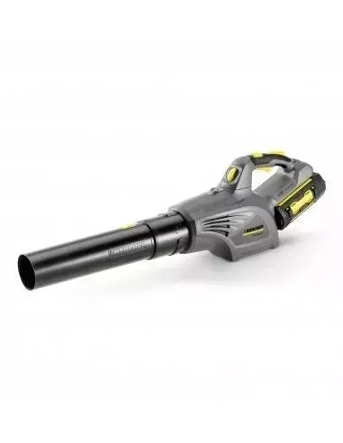 Souffleur LB 850 Bp – 14421100 – Karcher Livraison Express