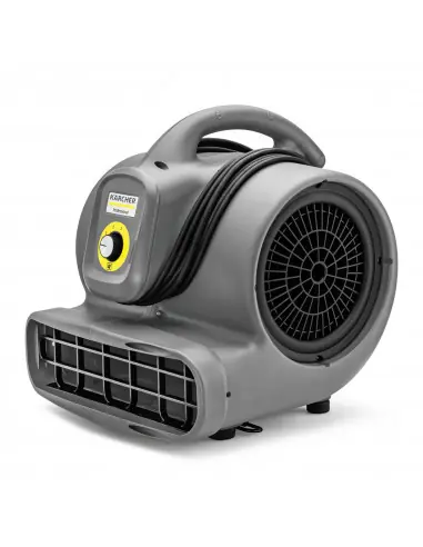 Achetez Aujourd&rsquo;hui Souffleur AB 20/1 EC 10040620 – Karcher