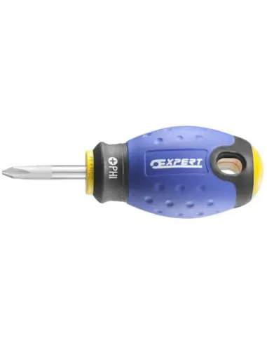 Tournevis boule pour vis Phillips 1x30 E165406 - Expert by Facom Offre Du Jour