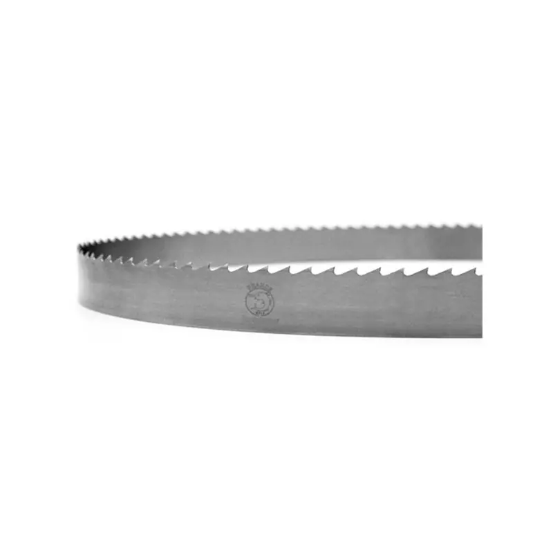 Offre Spéciale Lame ruban - FOREZIENNE - 4550x10x0,5 mm - pas 10 mm