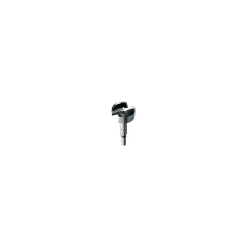 Mèche Forstner - FISCH 031602000 - Ø 20 x l 55 x L 80 mm - Q HEX Prix Choc