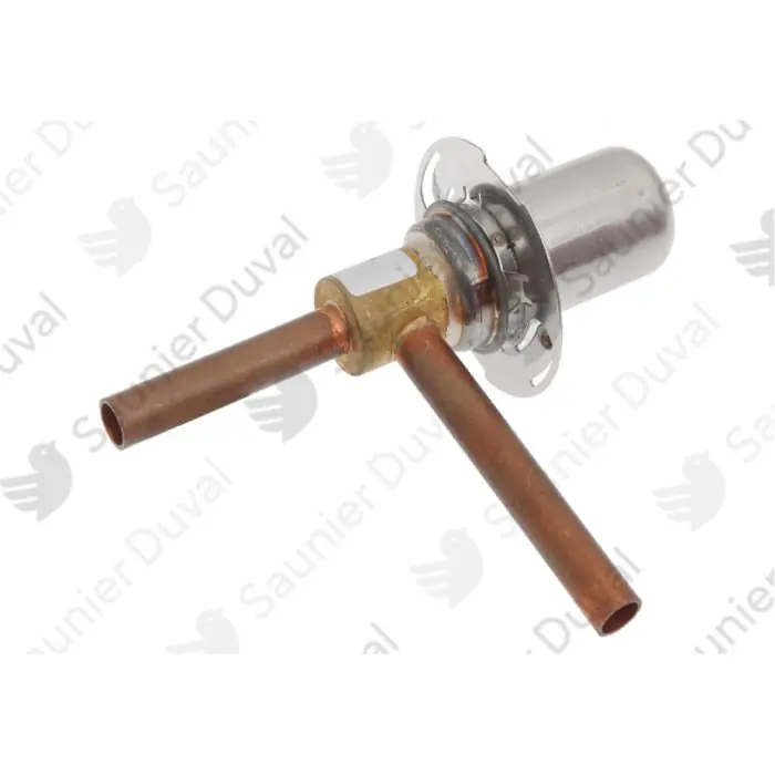 Valve d‘expansion 5k Pompes à chaleur - 0020192849 - Saunier Duval Top Vente
