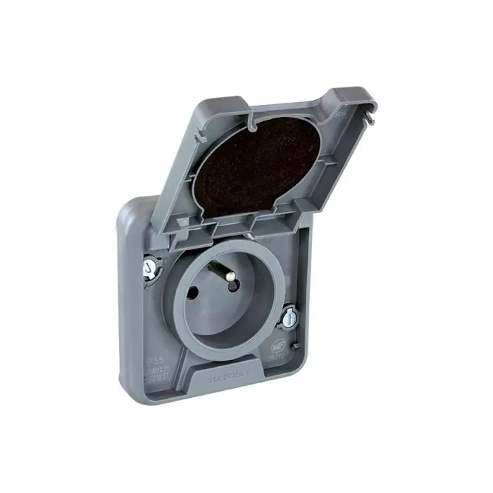 Commande En Gros Prise 2P+T encastré - étanche IP55 - OXXO Gris - Eur‘Ohm