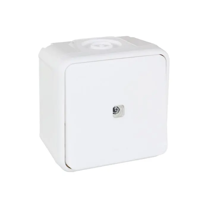 Produit De Marque Va et vient lumineux complet - étanche IP55 - OXXO Blanc - Eur‘Ohm