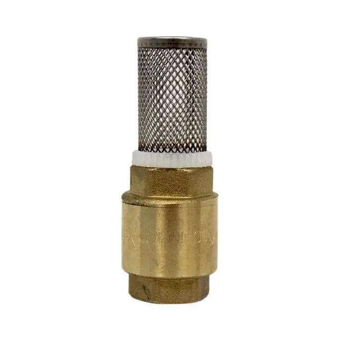 Clapet anti-retour Femelle-Femelle 1/2‘‘ (15/21) + Filtre Inox (crépine) 1/2‘‘ (15/21) – Sans ACS Offre Du Jour
