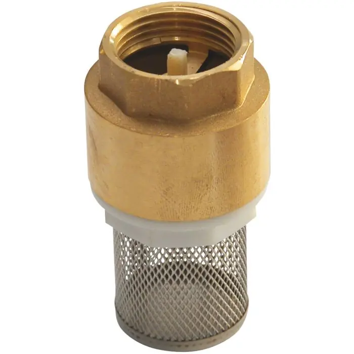Dernier Modèle Clapet anti-retour en laiton titré à crépine inox 1&Prime; (26/34) – Sferaco