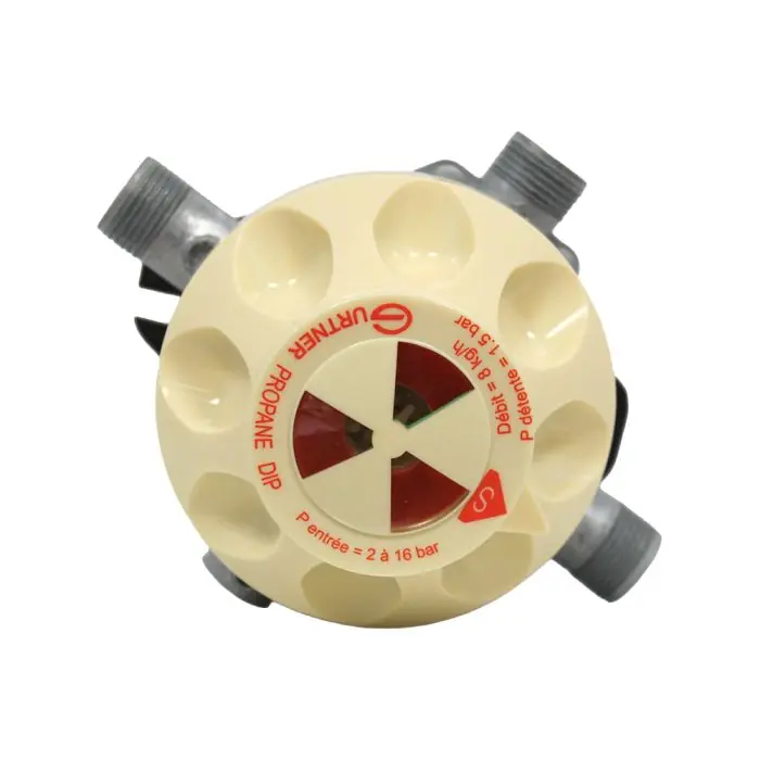 Meilleur Prix DIP Détendeur Inverseur Propane avec indicateur - 8kg/h 1,5 bar