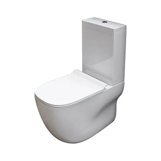Promotion Saisonnière WC monobloc sortie murale Wild avec réservoir et abattant Cristina Ondyna