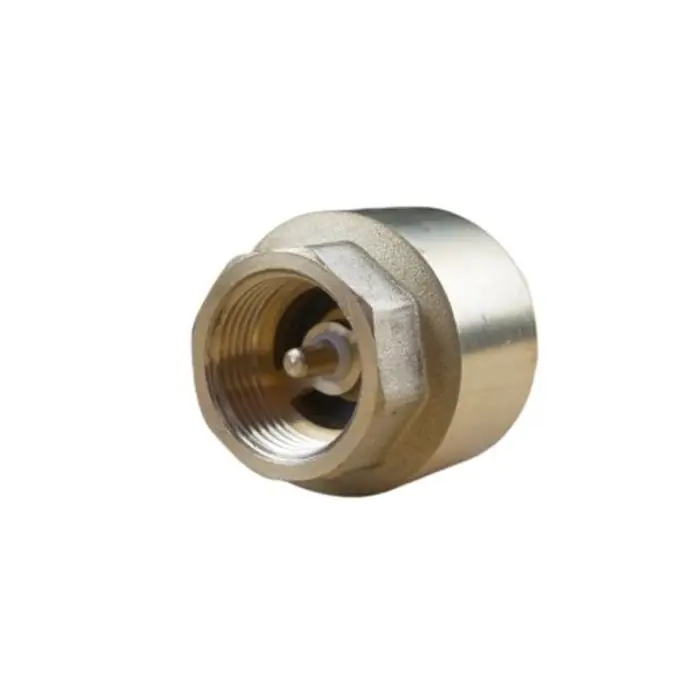 Clapet de Retenue toute position ACS - Femelle 3/4" (20/27) Femelle 3/4" (20/27) - Arco Retour Gratuit