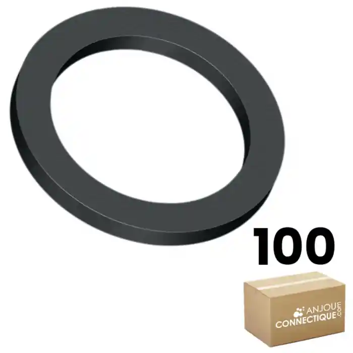 Livraison Express Boîte de 100 joints caoutchouc SBR pour eau froide, arrosage - 3/4" (20/27) - 17 x 23 x 2mm - WATTS