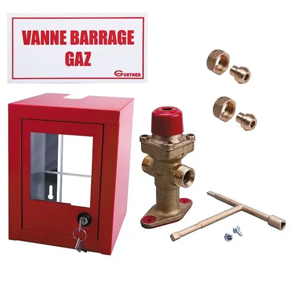 Quantité Limitée Coffret coupure Gaz avec vanne coup de poing DN15 et signalisation