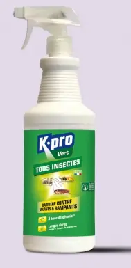 SINTODÉSODORISANTS, INSECTICIDES & NETTOYANTS Pas Cher