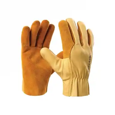Certifié DIFACPROTECTION DES MAINS