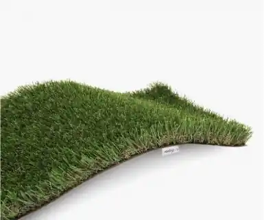 EXELGREENAménagement de jardin Dernier Modèle