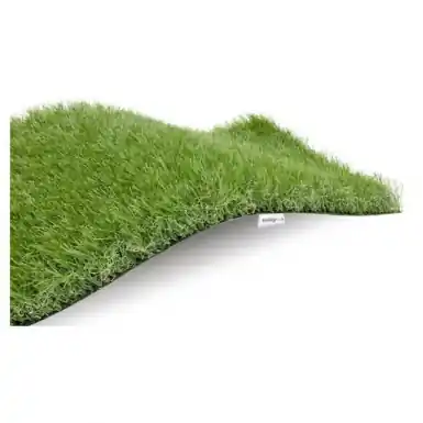 Offre Limitée EXELGREEN