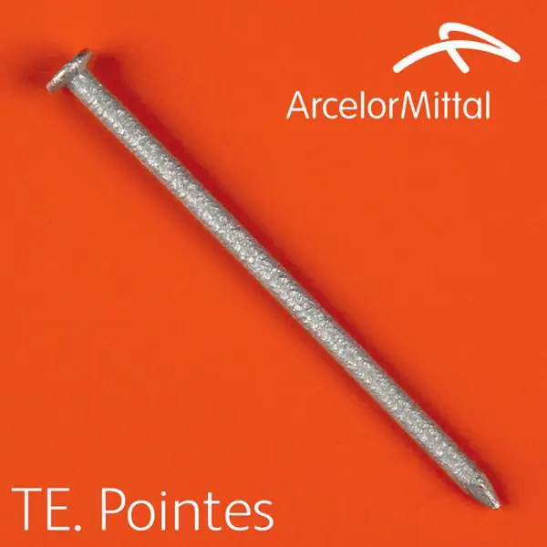 Pointe tête plate Ø2,7x60mm galva boite 5Kg Satisfait Ou Remboursé